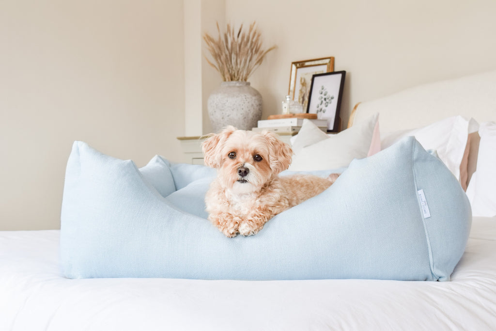 alt= "Linen dog bed pictured in home setting with small dog lying down"