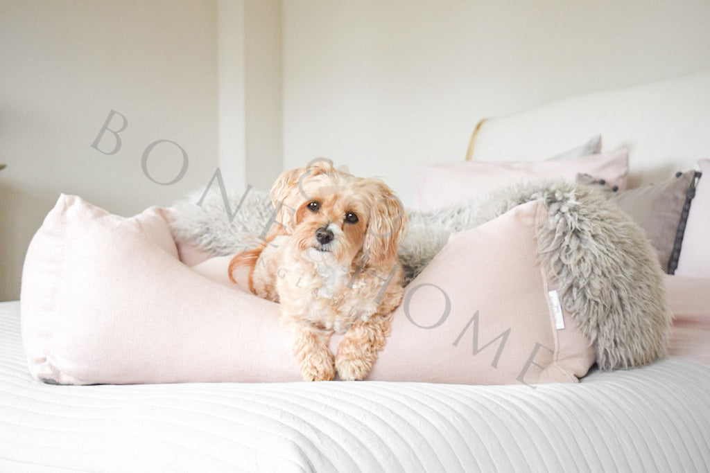 Linen Dog Beds | The Sophie Collection