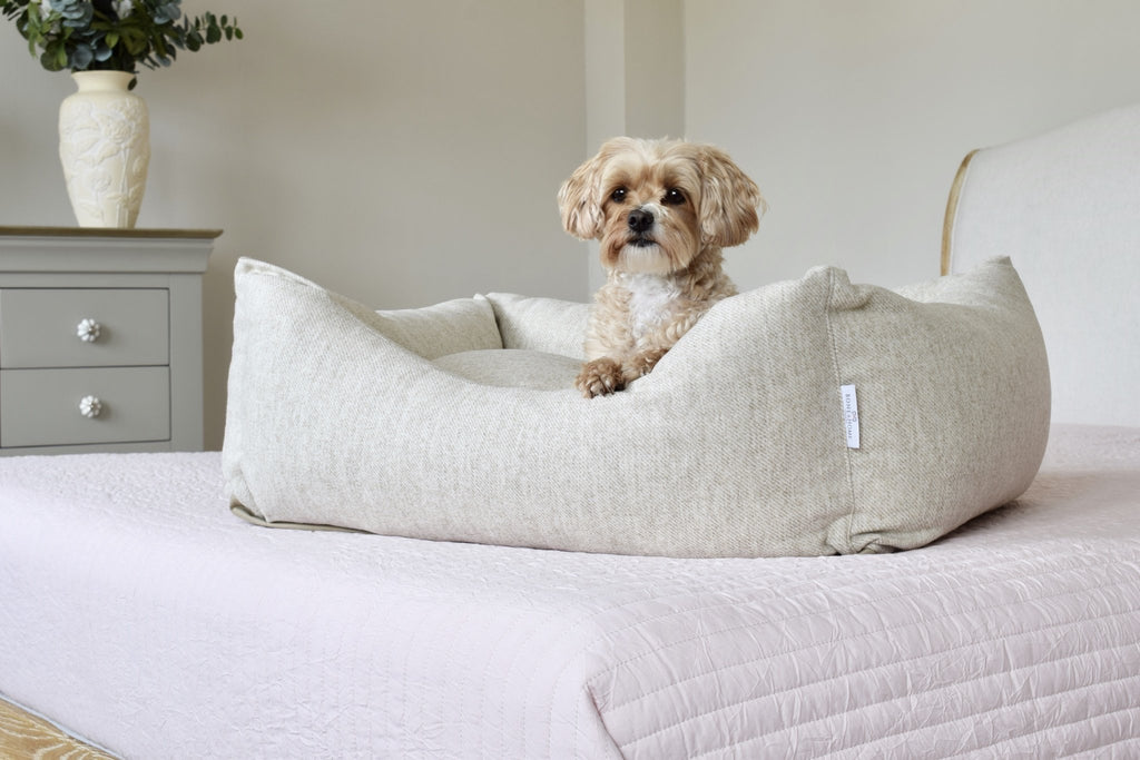 Wool Dog Beds
